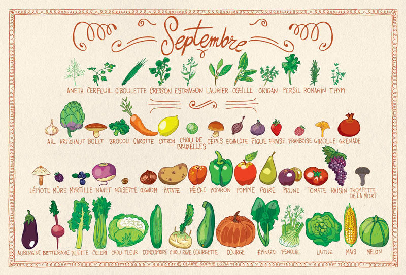 fruits et légumes de septembre
